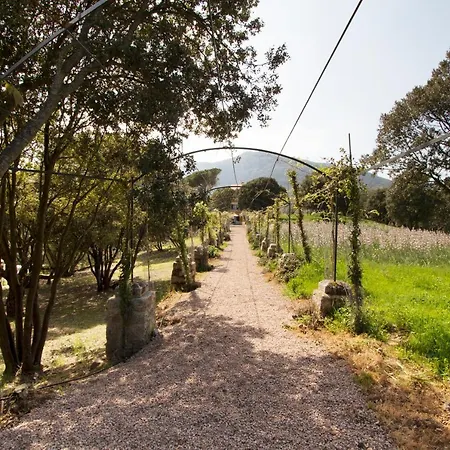 Domaine St Francois La Tour * Alata